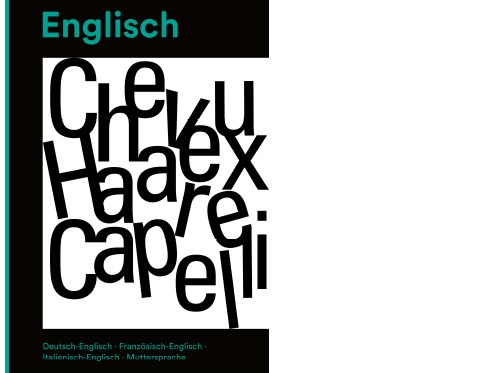Offre sp&#233;ciale - dictionnaire anglais